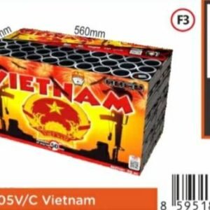 Vietnam 50S 4*4.5*5cm