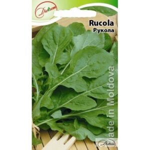 Rucola