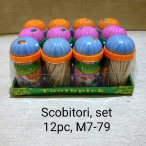 Scobitori, set 12pc, M7-79
