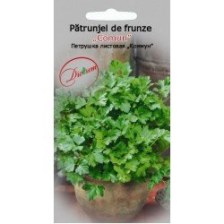 Pătrunjel de frunze Comun