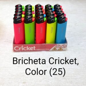 Bricheta Cricket, Color (25)