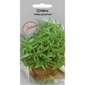 Cimbru