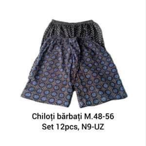 Chiloţi bărbați M.48-56 Set 12pcs, N9-UZ