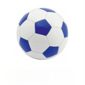 Minge de fotbal, Nr.5 FC Barcelona, 24-006