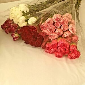 Garoafe mix color Ambalaj 20 buc